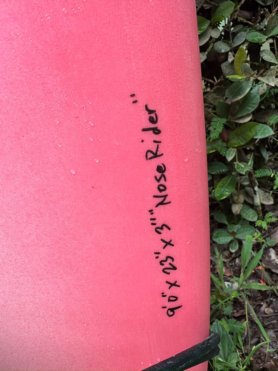 9’0” Nose Rider Surfboard